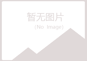 八公山区忆山建设有限公司